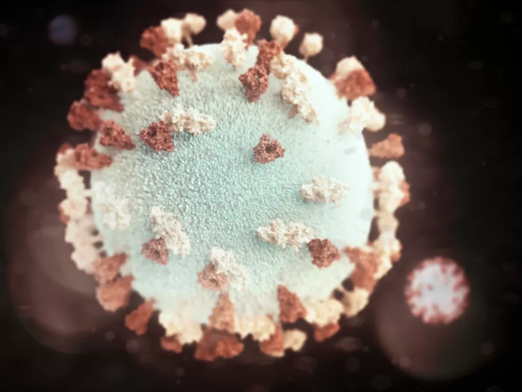 Ilustrasi virus Corona varian baru. (Unsplash)