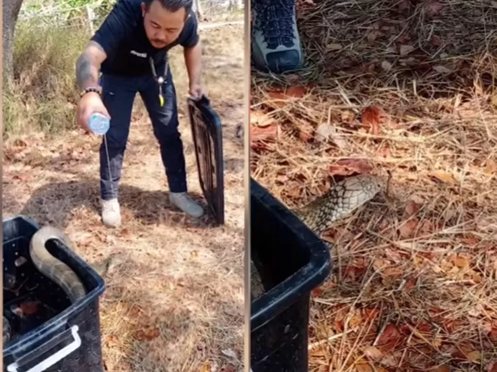 Cuplikan video pria yang beri minum ular. (photo/Youtube/ViralPress)