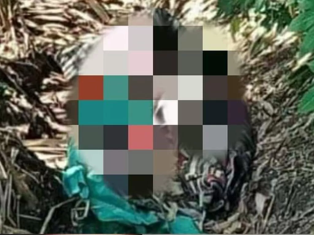 Mayat wanita ditemukan terbungkus tikar di kebun tebu (Istimewa)