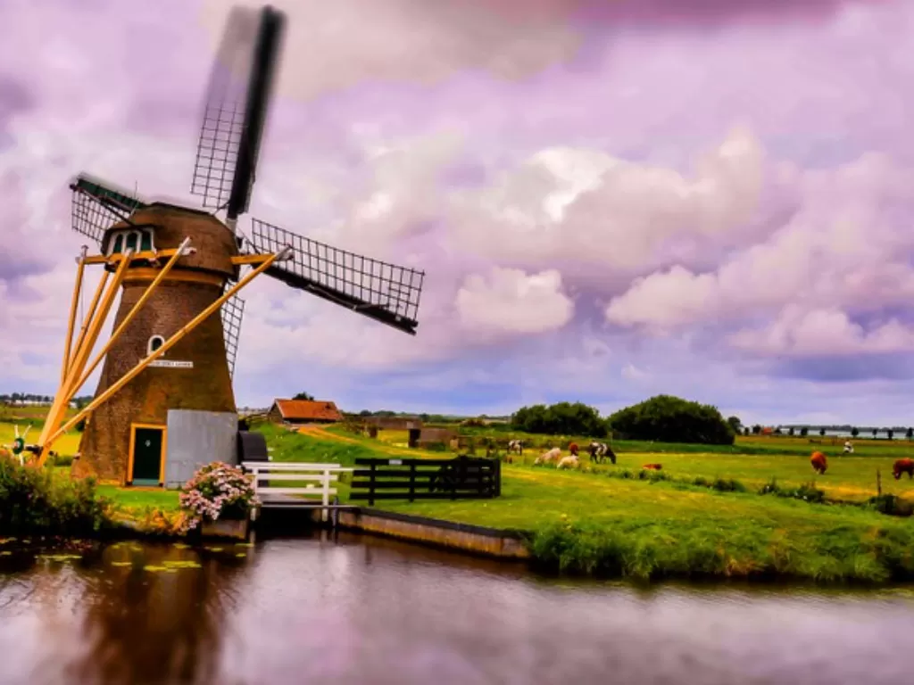 Potret suasana negara Belanda dengan kincir anginnya. (Freepik)