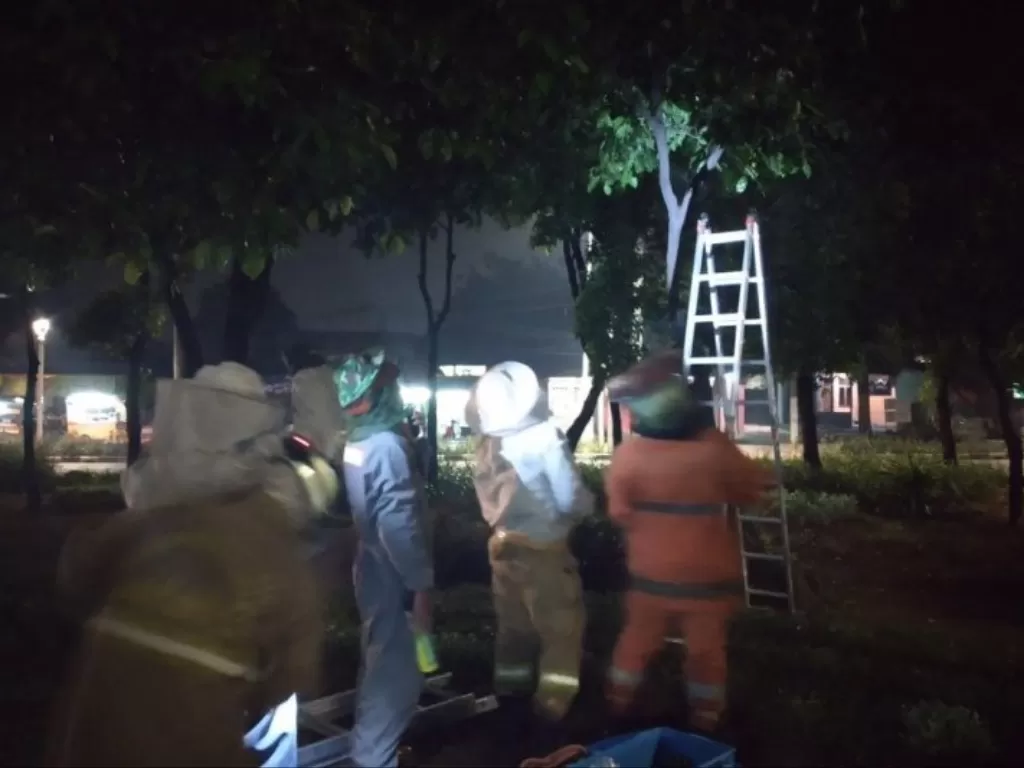  Petugas Damkar Jakarta Timur evakuasi sarang tawon yang berada di atas pohon, Jakarta, Kamis (22/4/2021). (HO-Damkar Jakarta Timur) 