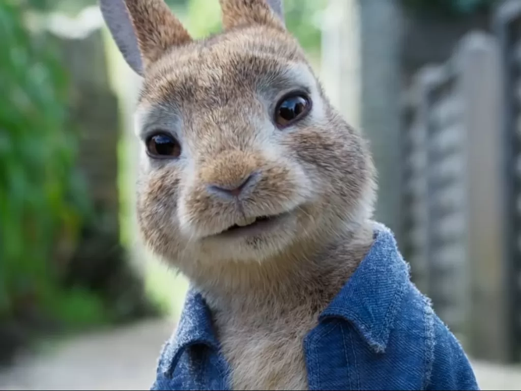 Peter Rabbit 2: The Runaway (YouTube/ONE Media)