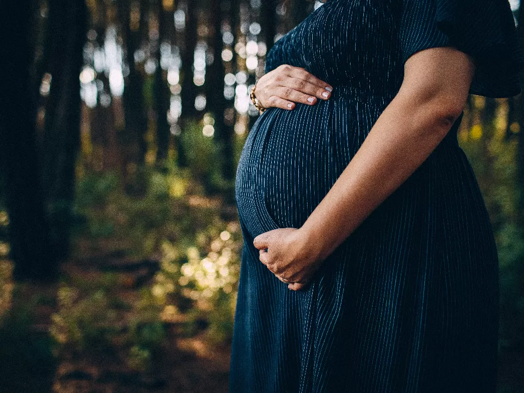 Ilustrasi ibu hamil (Pexels/Helena Lopes)