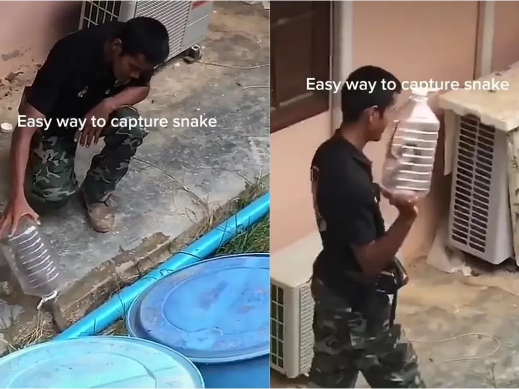 Cara mudah menangkap ular dengan menggunakan botol plastik. (TikTok)