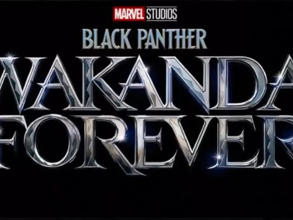 Black Panther: Wakanda Forver (Twitter/MarvelStudios)