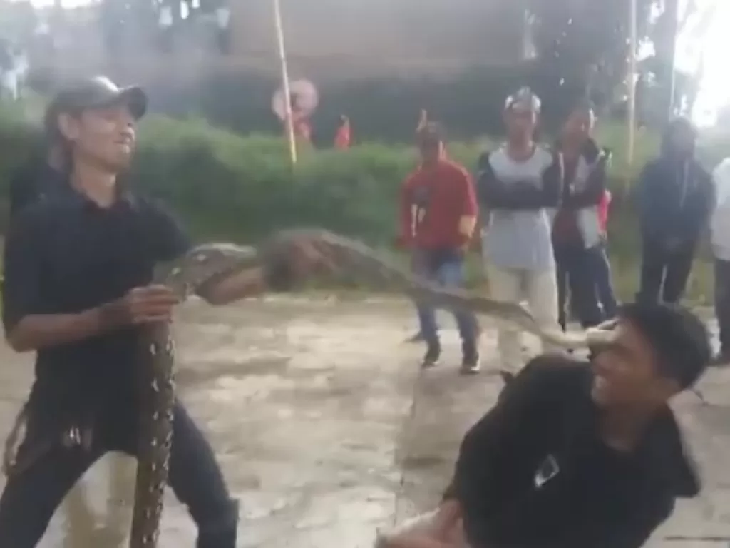 Seorang pemuda digigit ular (Istimewa)
