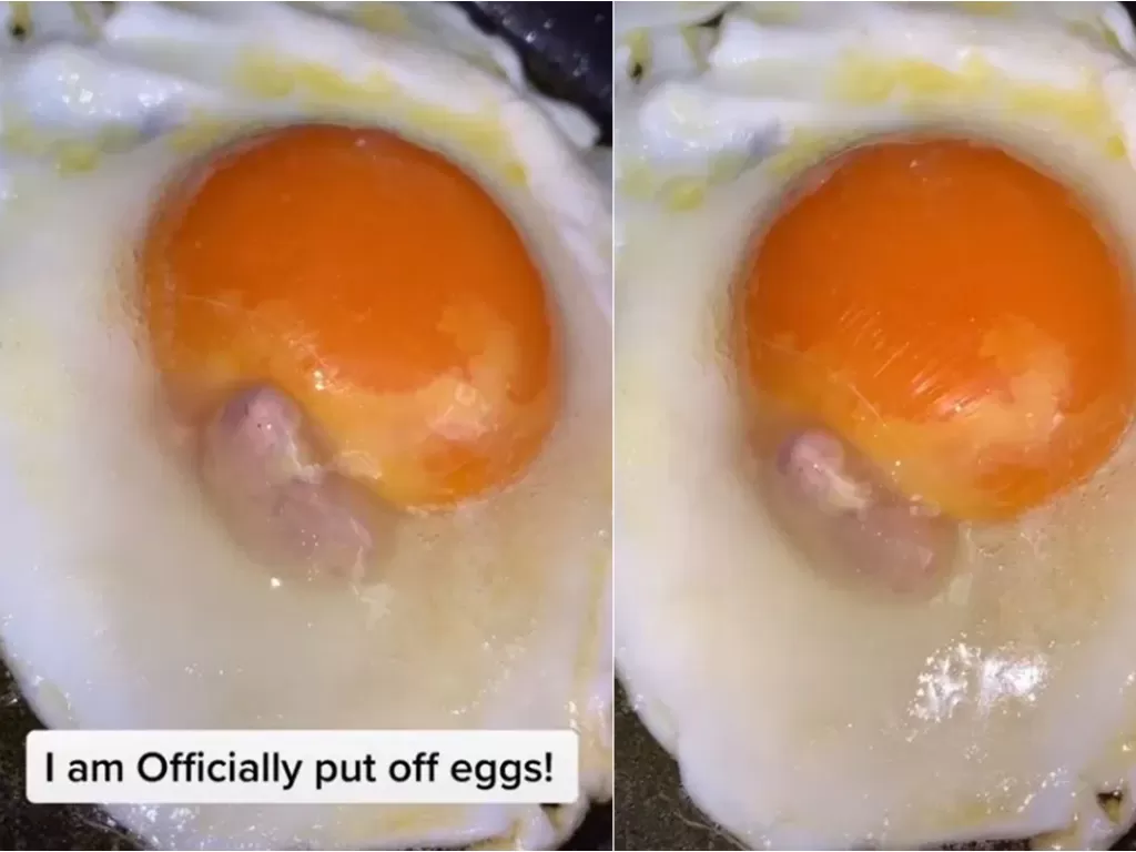 Ada bayi ayam mati di telur goreng (Tiktok /@its_mxdison_)