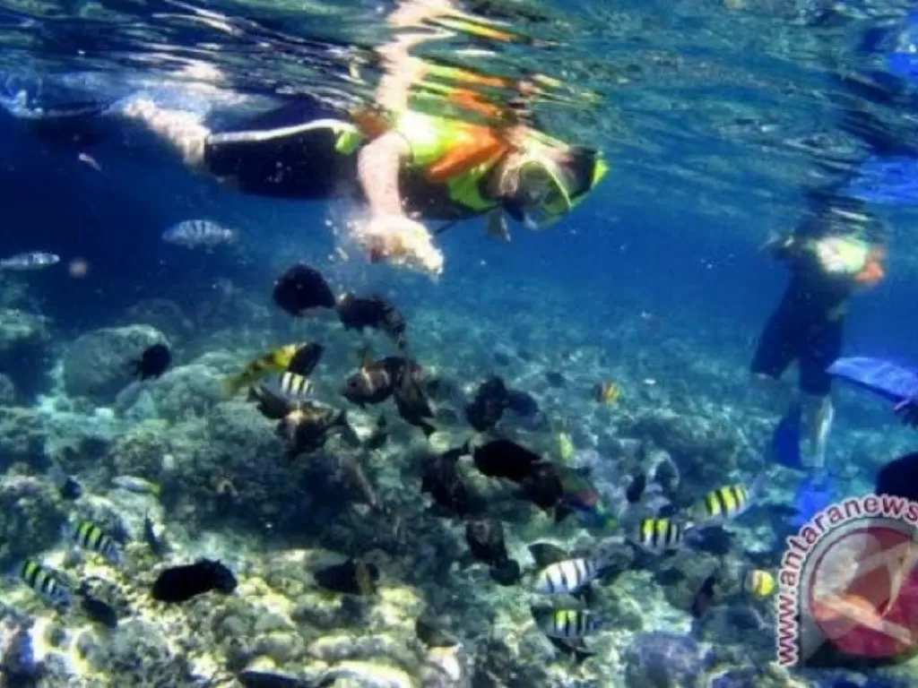Wisatawan melakukan snorkeling menikmati keindahan bawah laut Taman Nasional Bunaken. (photo/ANTARA/HO)