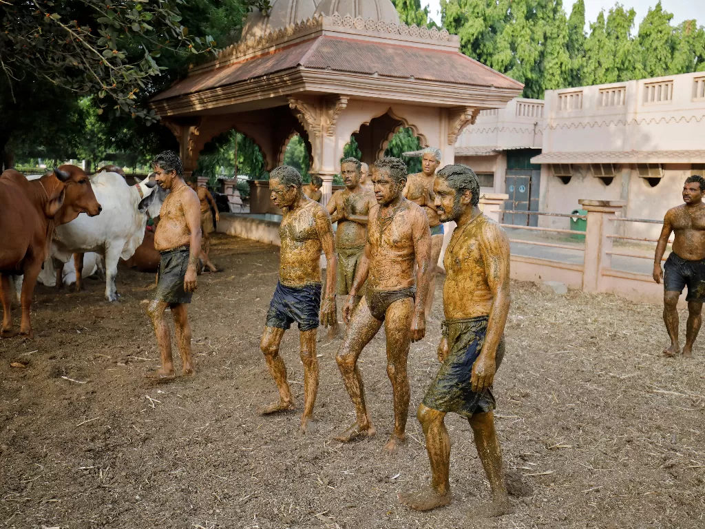 Warga India melumuri tubuh dengan kotoran sapi. (REUTERS/AMIT DAVE)