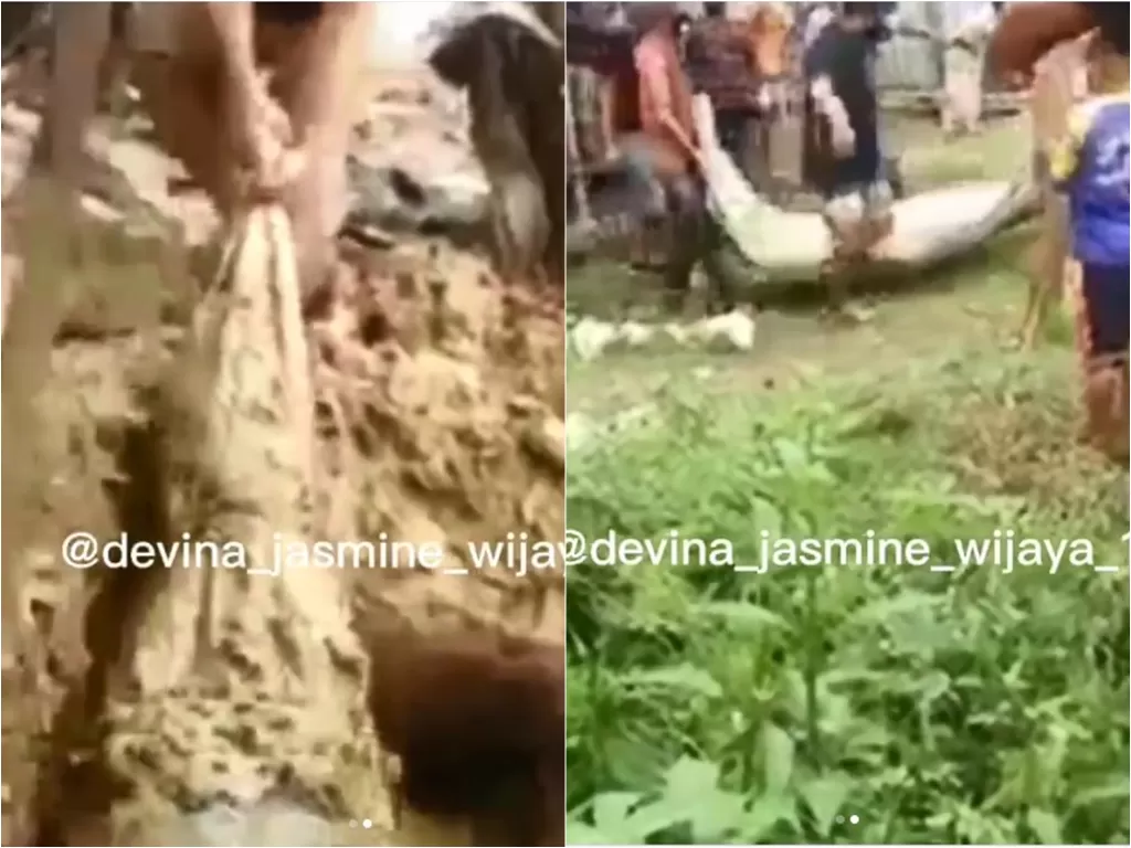 Pria dipocong dan dikubur usai dibunuh oleh keluarganya sendiri di HST (Instagram/devina_jasmine_wijaya_1)