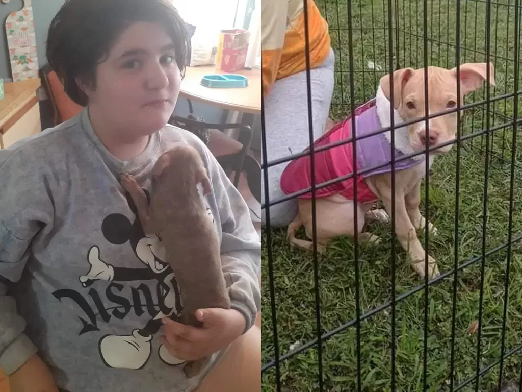 Gadis 11 tahun meninggal usai menyelamatkan anak anjingnya. (Photo/WFLA)