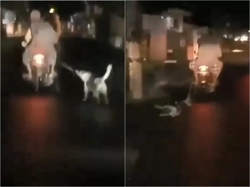 Pemotor rantai dan seret anjing hingga puluhan meter di aspal jalanan Kota Palembang (Instagram/christian_joshuapale)