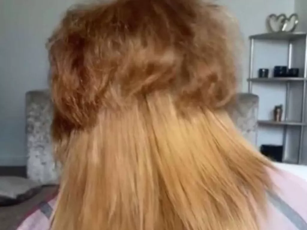 Rambut wanita ini seperti singa (TikTok/@alina8xxx)
