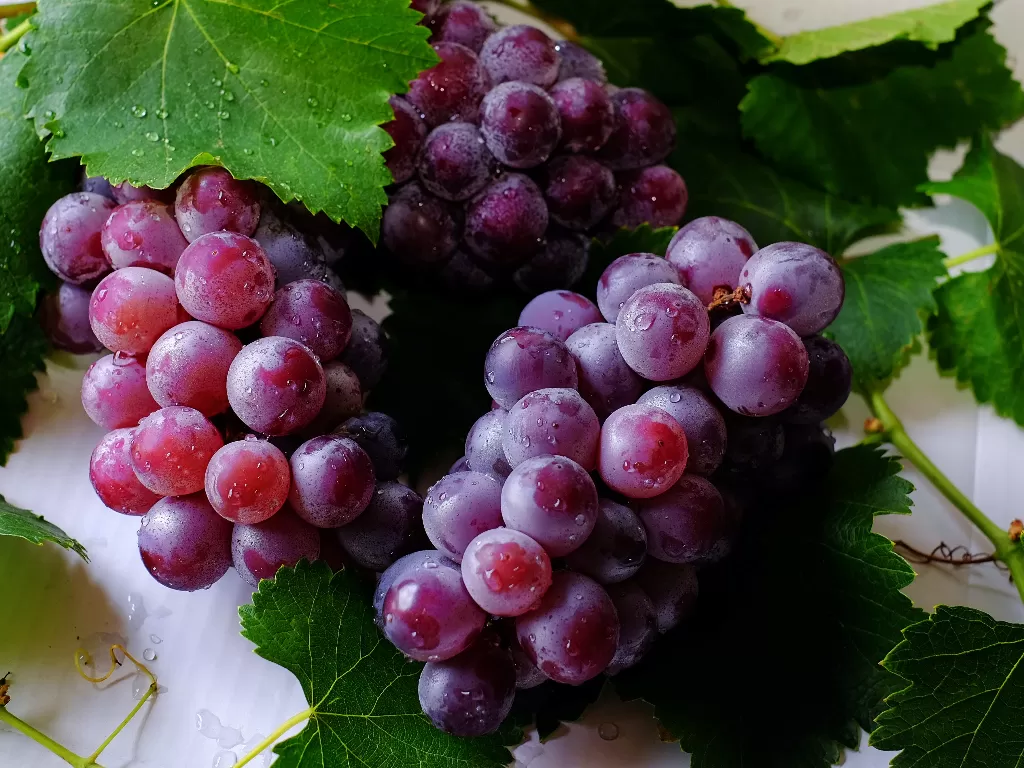 Anggur (Foto oleh Kai-Chieh Chan dari Pexels)