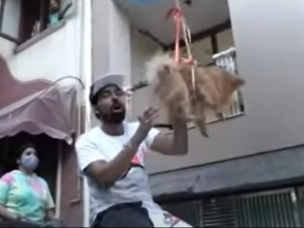 YouTuber ini menerbangkan anjingnya dengan menggunakan balon helium. (Photo/YouTube)