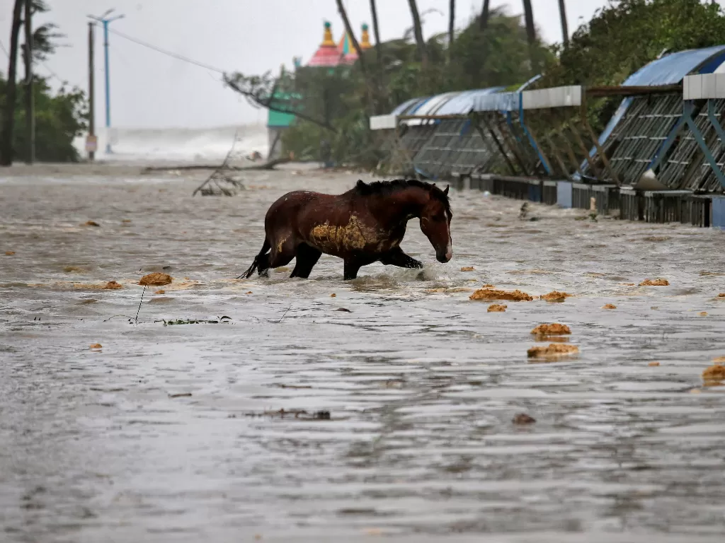 Seekor kuda melintasi jalan yang dipenuhi air (REUTERS/Rupak De Chowdhuri)