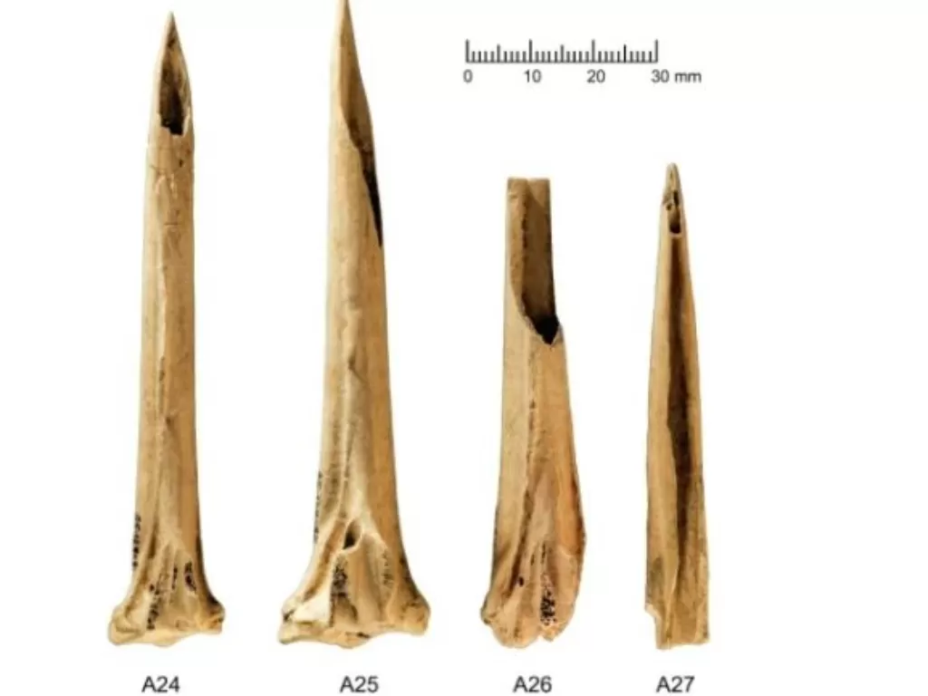 Seperangkat tulang kalkun yang dijadikan alat tato. (photo/Dok. Deter-Wolf et al., J Archaeol Sci Rep, 2021)