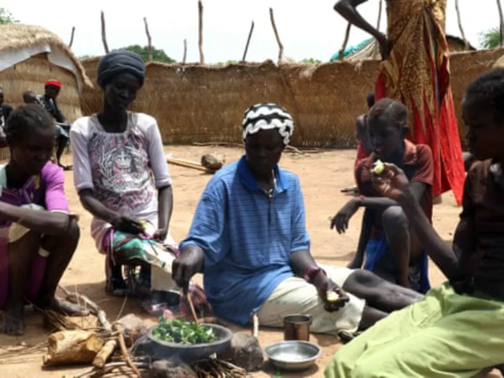 Warga Sudan Selatan bertahan hidup dengan dedaunan. (The Guardian/Simona Foltyn)