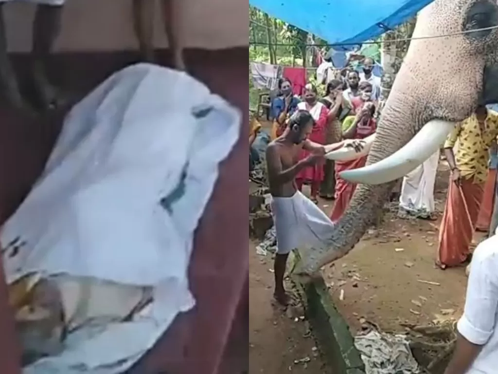 Gajah ini mendatangi pawangnya yang meninggal. (Photo/Facebook)