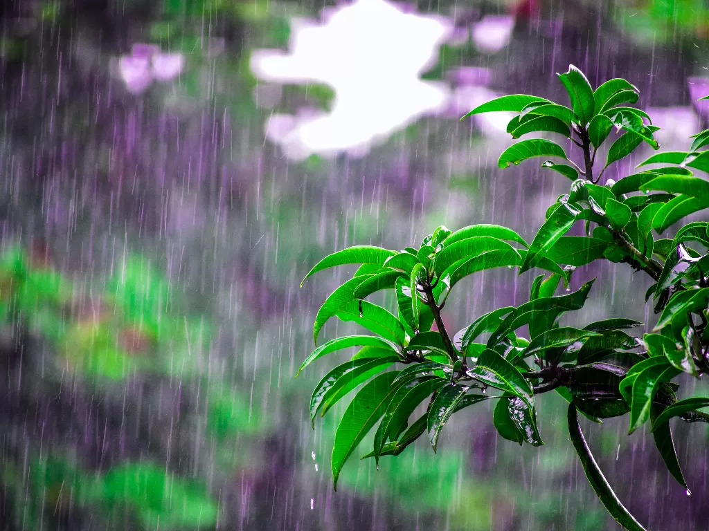 Hujan. (photo/Ilustrasi/Pexels/Bibhukalyan Acharya)