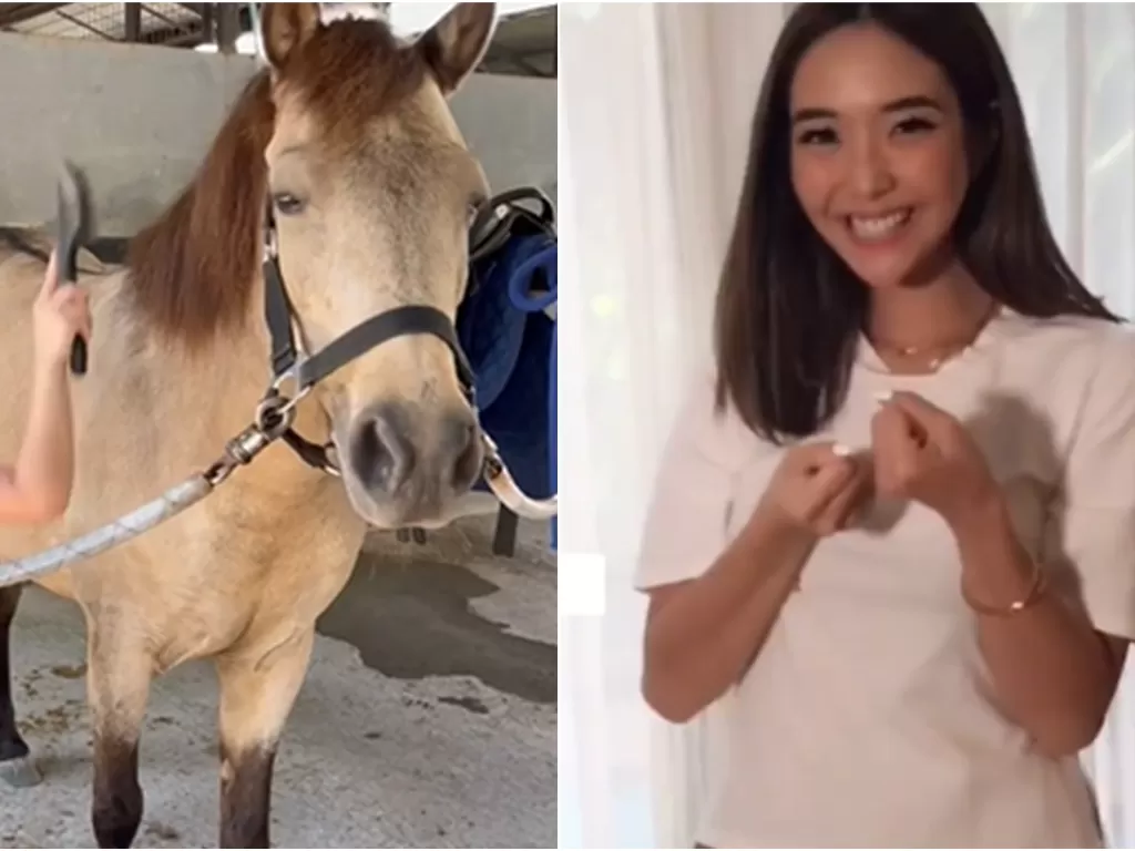 Kuda bernama Aisyah yang ditunggangi Gempi, putri Gisel. (instagram)