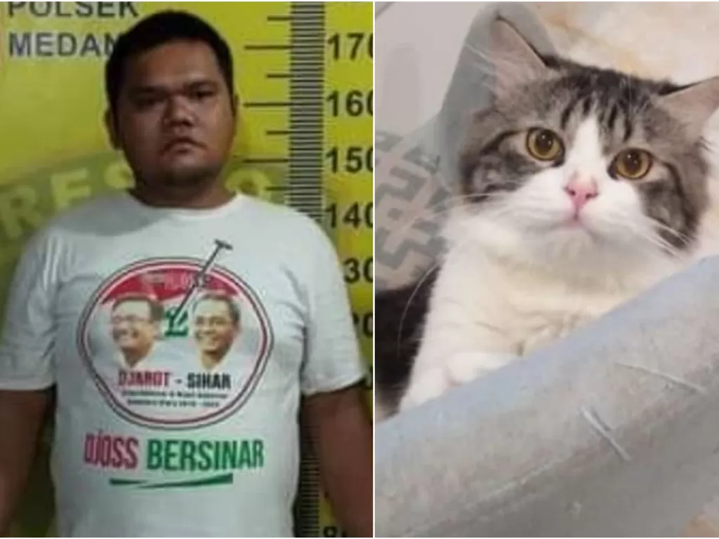 Jagal kucing di Medan. (instagram)