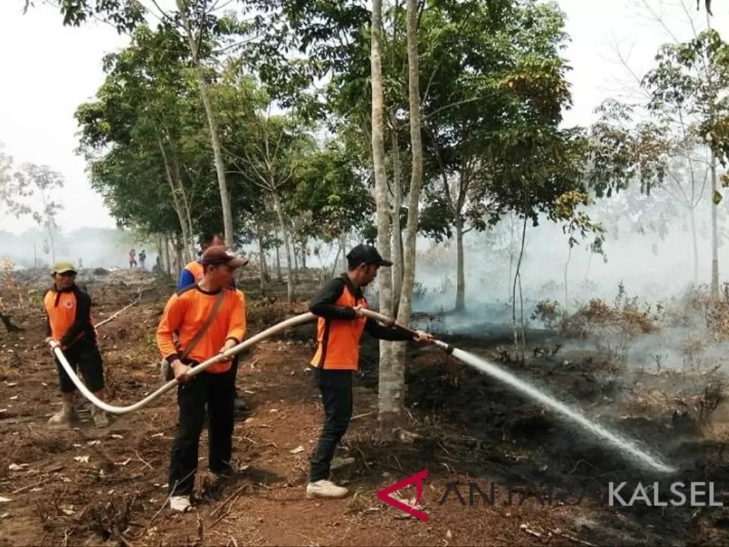  Ilustrasi - Relawan berusaha mepadamkan karhutla di Balangan, Kalimantan Selatan. (ANTARA/Roly Supriadi) 