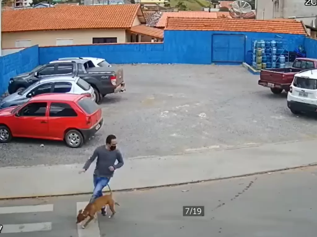 Momen pria terjatuh ditabrak anjing. (Facebook)