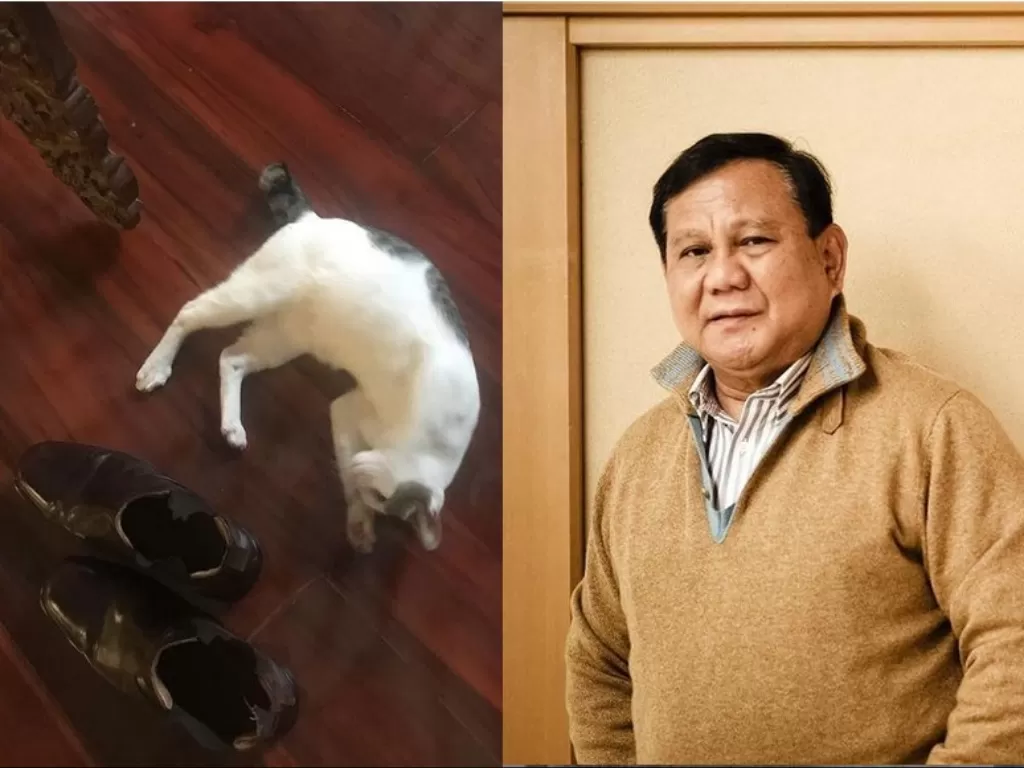 Prabowo Subianto dan Kucing peliharannya. (Foto: Instagram/@Prabowo)