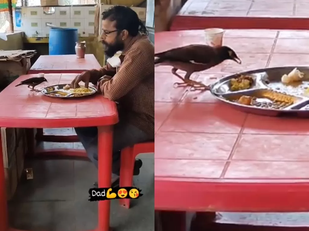 Pria ini makan bersama burung di piring yang sama. (Photo/Instagram/@desalemegharaj)