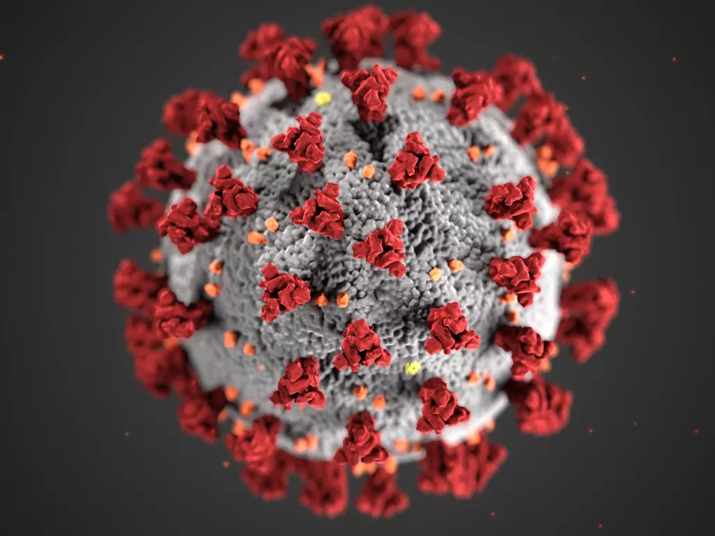 Ilustrasi virus corona. (CDC)
