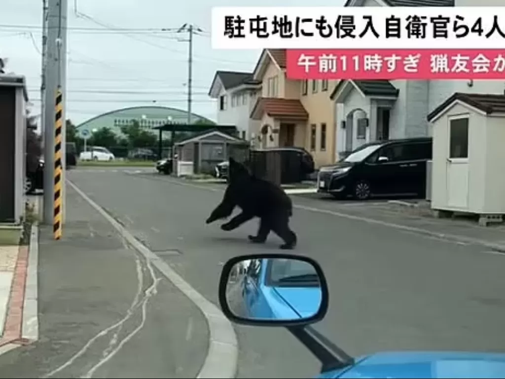 Seekor beruang menyerang orang di Jepang. (YouTube)