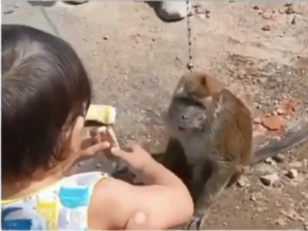 Balita luka parah akibat terseret topeng monyet saat beri saweran (Instagram/manaberita)