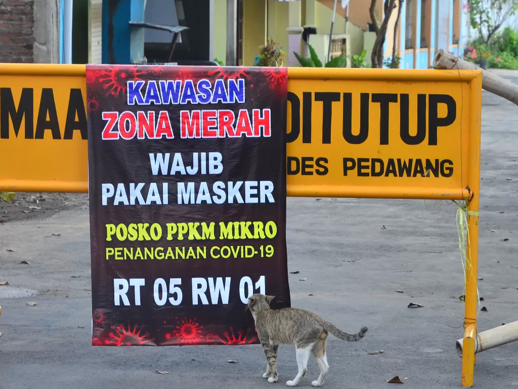 Seekor kucing mengendus poster bertuliskan kawasan zona merah COVID-19 di jalan desa yang ditutup akibat karantina wilayah di Desa Pedawang, Kudus, Jawa Tengah, Selasa (1/6/2021). (photo/ANTARA FOTO/Yusuf Nugroho/ilustrasi)