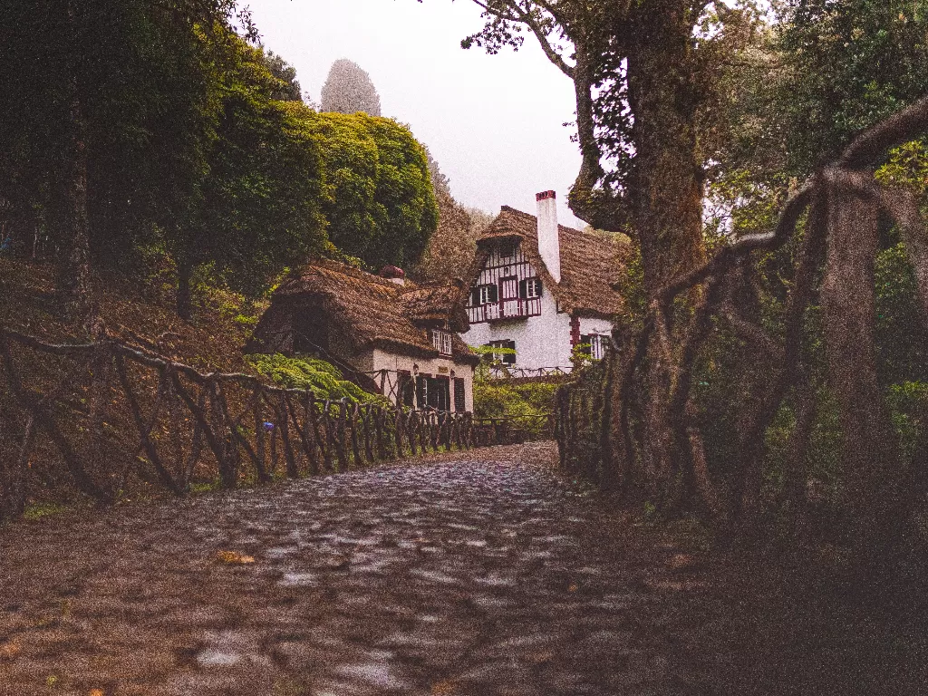 Ilustrasi Madeira. (photo/Ilustrasi/Pexels/Matthias Groeneveld)
