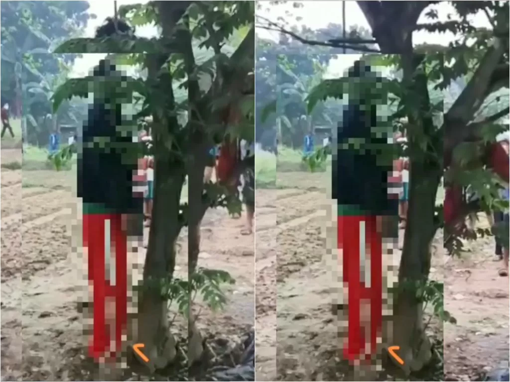Warga temukan mayat tergantung di pohon kersen di Villa Gading Harapan (Instagram/andreli48)