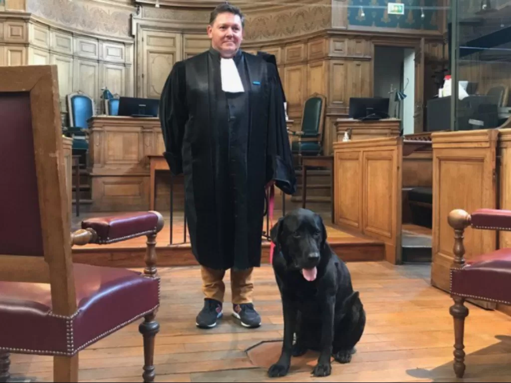 Anjing yang bekerja di pengadilan. (Chris Bockman)