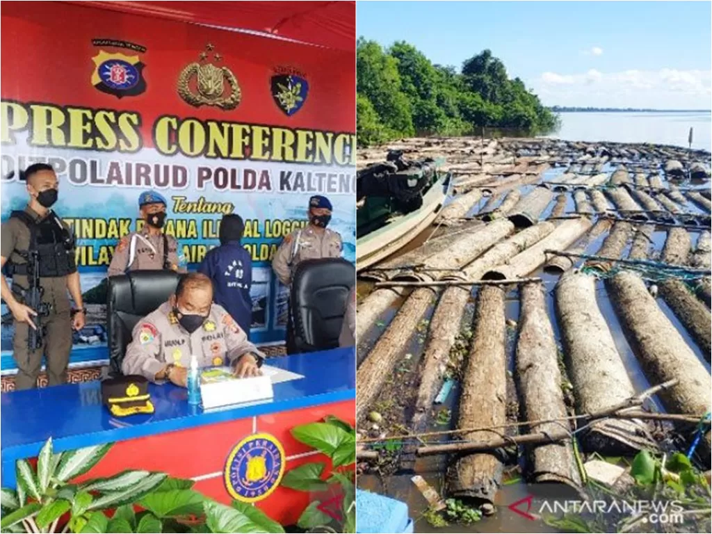 Pelaku dan barang bukti 400 batang kayu log atau gelondongan diduga ilegal yang telah diamankan oleh Ditpolairud Polda Kalteng di Sampit, Sabtu (26/6/2021). (photo/ANTARA/Norjani)