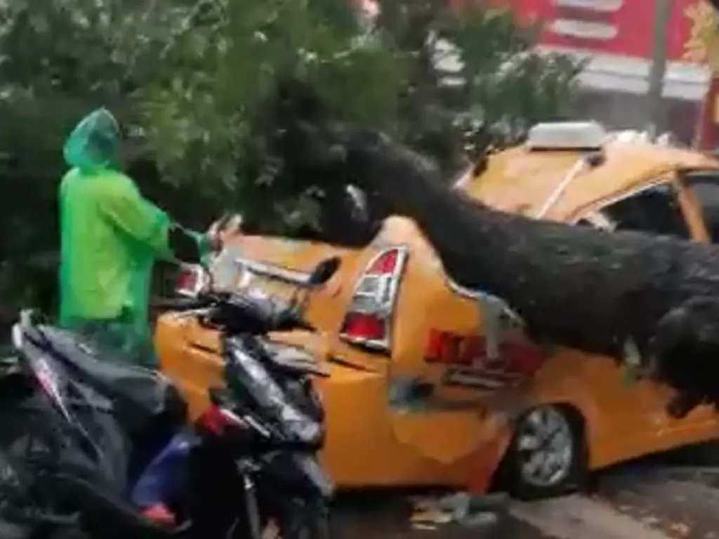 Perawat tewas tertimpa pohon tumbang di Medan. (Istimewa)
