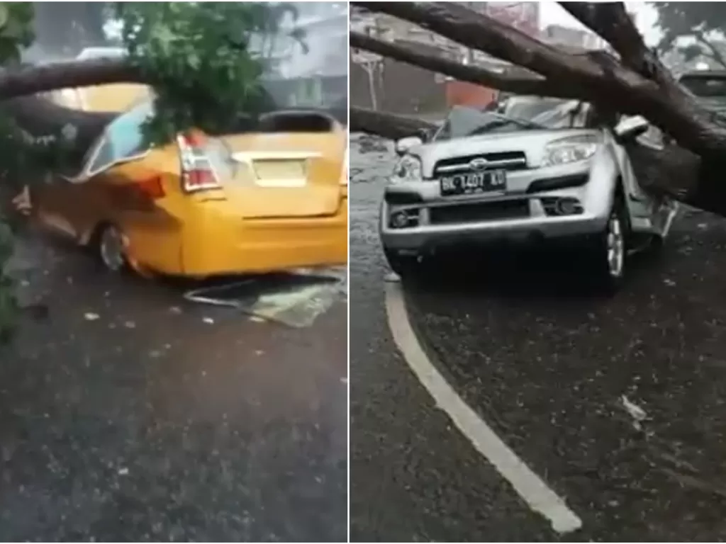 Dua mobil remuk tertimpa pohon tumbang di Kota Medan, Senin sore (28/6/2021). (ist)