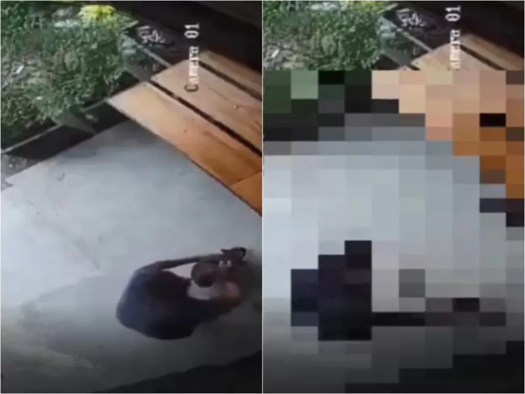 Pria terekam CCTV aniaya dan bunuh seekor kucing pakai balok kayu (Instagram/tkp_pontianak)