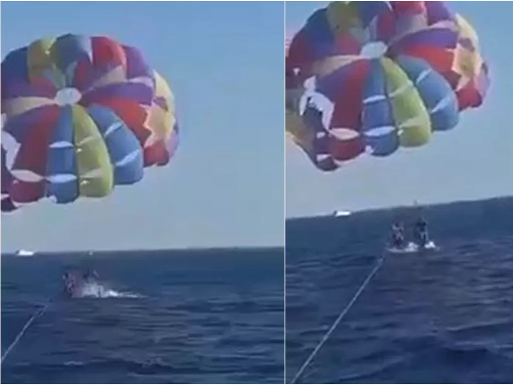 Hiu merobek kaki paraglider di laut merah. (Newsflash)