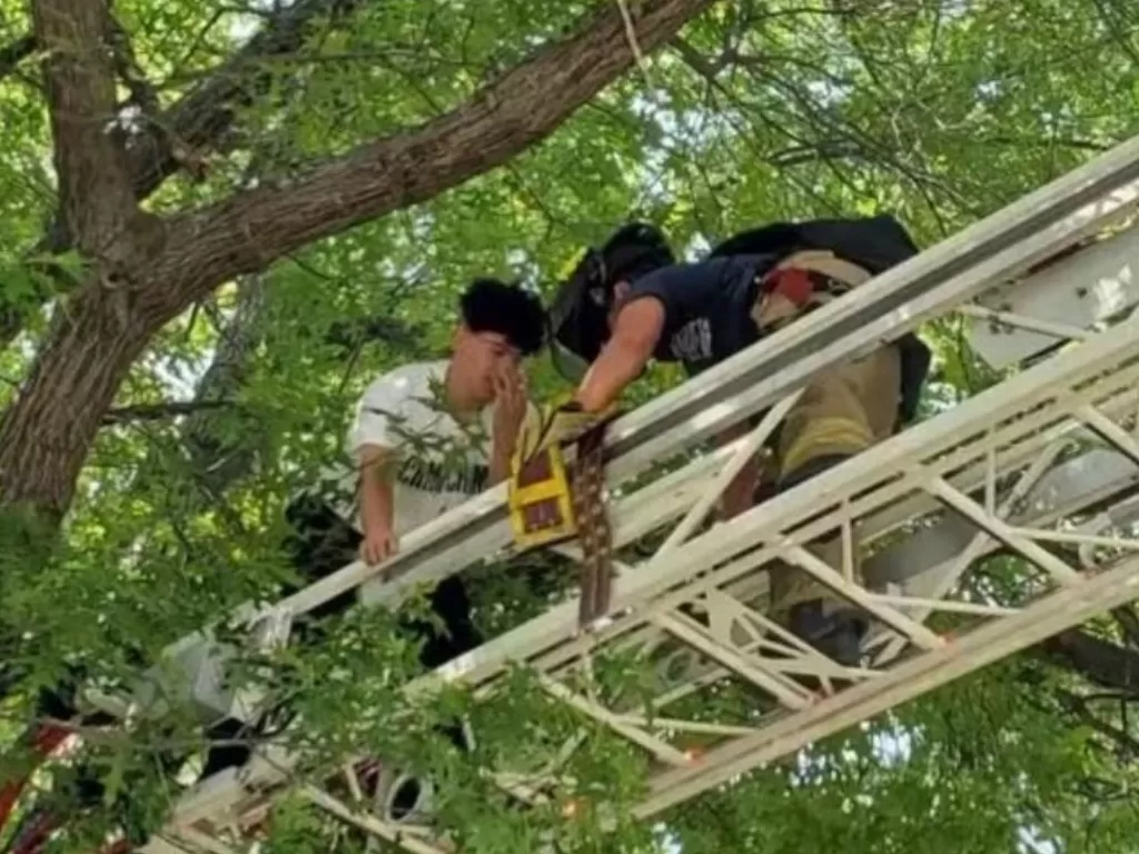 Majikan kucing ini terjebak di pohon bersama kucingnya. (Photo/Facebook/Tulsa Fire Department)