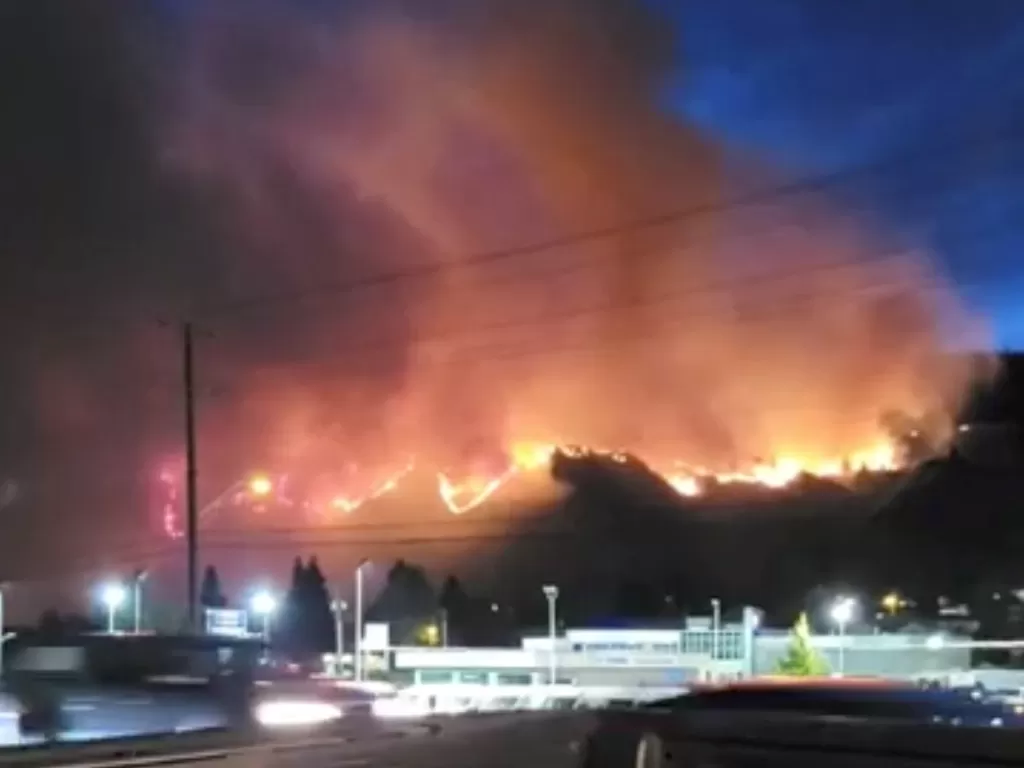Kebakaran hutan di Kanada. (REUTERS)