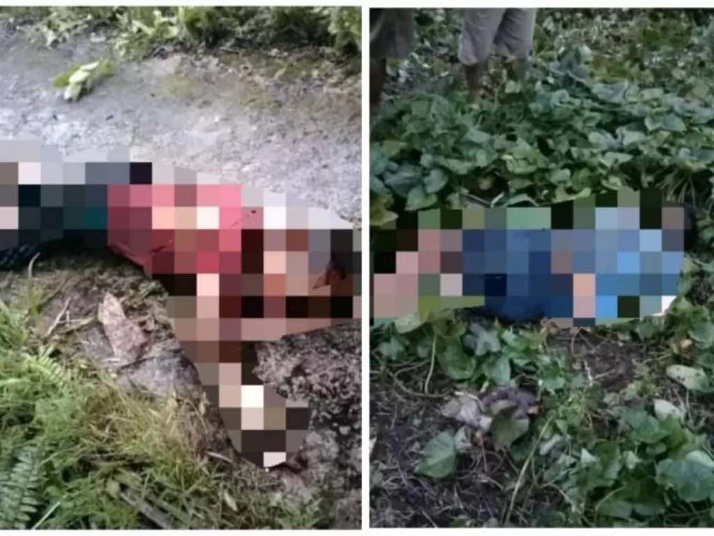 Warga temukan dua mayat pria paruh baya di tengah hutan di Nias Selatan (Istimewa)
