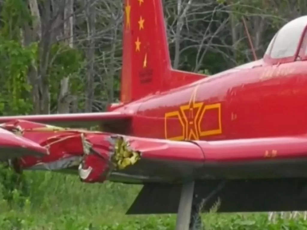 Pesawat yang menabrak wanita saat dia memotong rumput. (CTV)