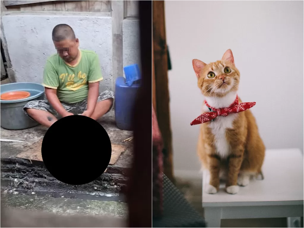 Kiri: Pria yang menyebelih kucing untuk dikosumsi. (photo/Istimewa). Kanan: Ilustrasi Kucing. (photo/Pexels/Lina Kivaka/ilustrasi)