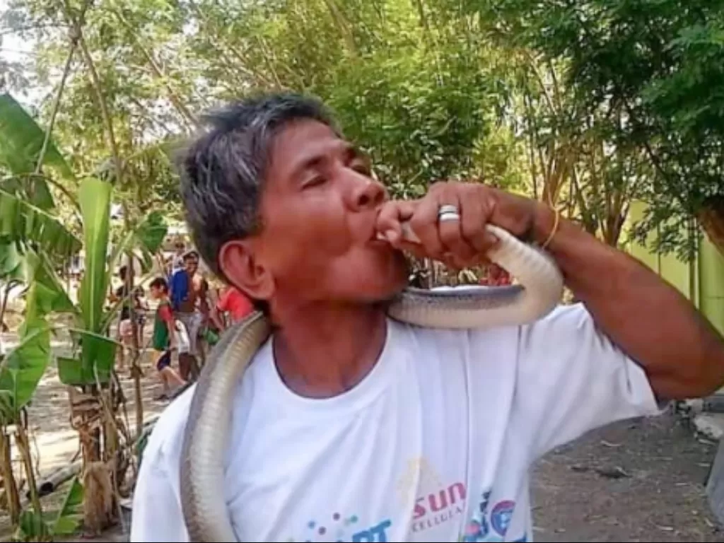 Tewas setelah mencium ular kobra. (ViralPress)