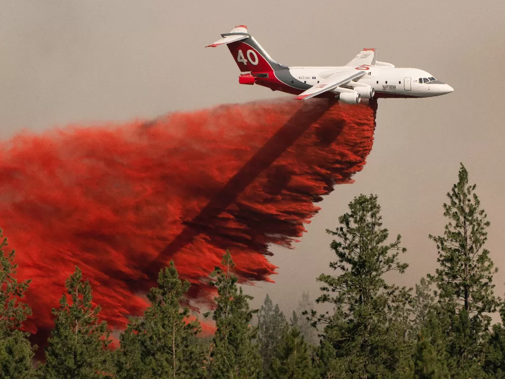 Sebuah pesawat menjatuhkan penghambat api di Chuweah Creek Fire (REUTERS/David Ryder)
