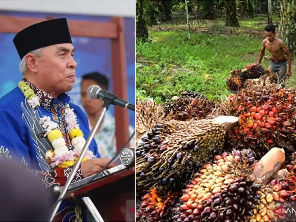 Gubernur Kaltim Isran Noor tidak pernah keluarkan izin baru kebun kelapa sawit (photo/Dok. Humas Kutim/Ilustrasi/Antara)